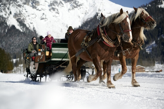 Arrenslee - Copyright: Marco Dullnig