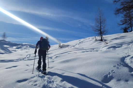 Sneeuwschoenwandelen in Werfenweng